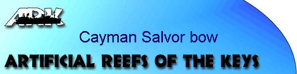 Cayman Salvor bow