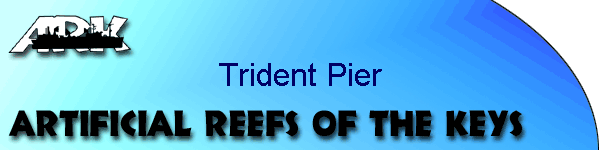 Trident Pier