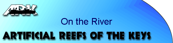On the River
